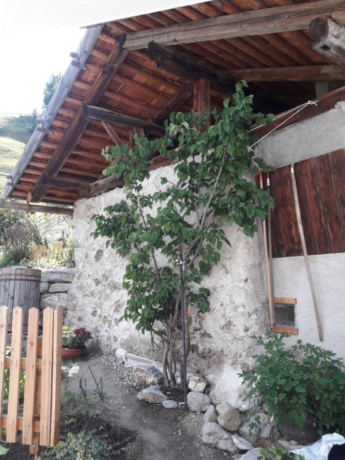 Vila Hofstatthof Campo di Trens Exteriér fotografie