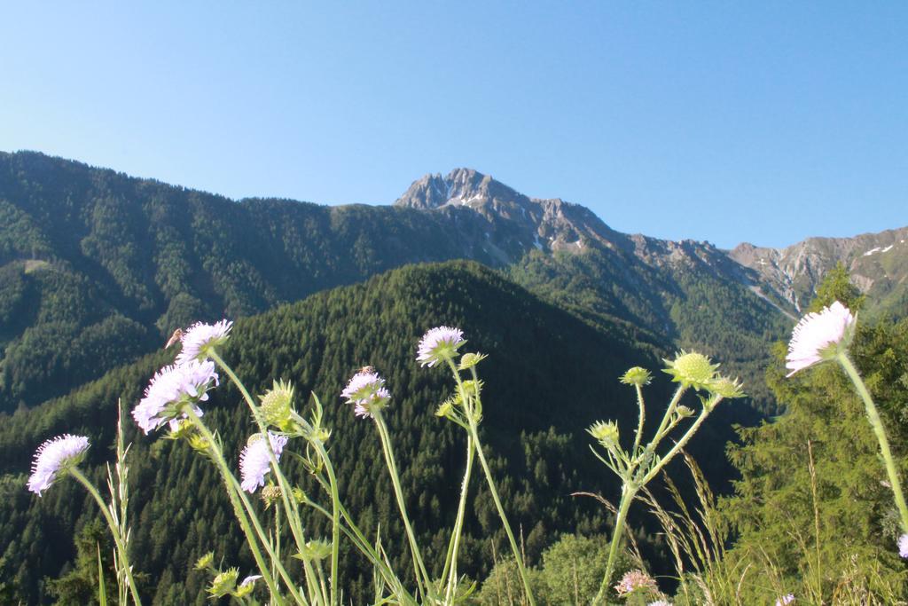 Vila Hofstatthof Campo di Trens Exteriér fotografie