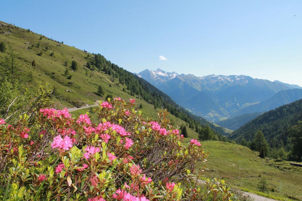 Vila Hofstatthof Campo di Trens Exteriér fotografie